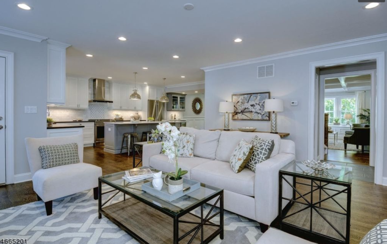 Beautiful living room and kitchen